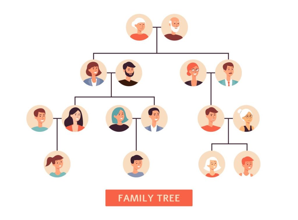 How to Make a Family Tree on Paper